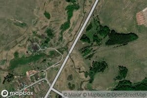 Nalivnaya