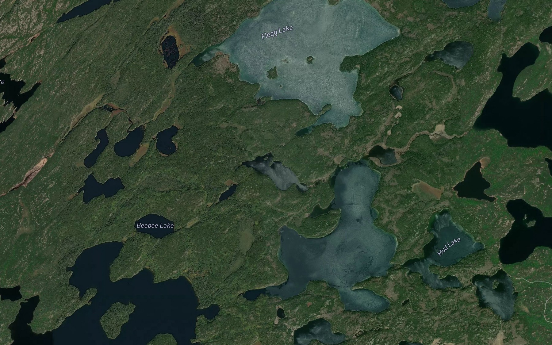 Satellite map of the Pearl Lake