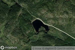 Havretjorn
