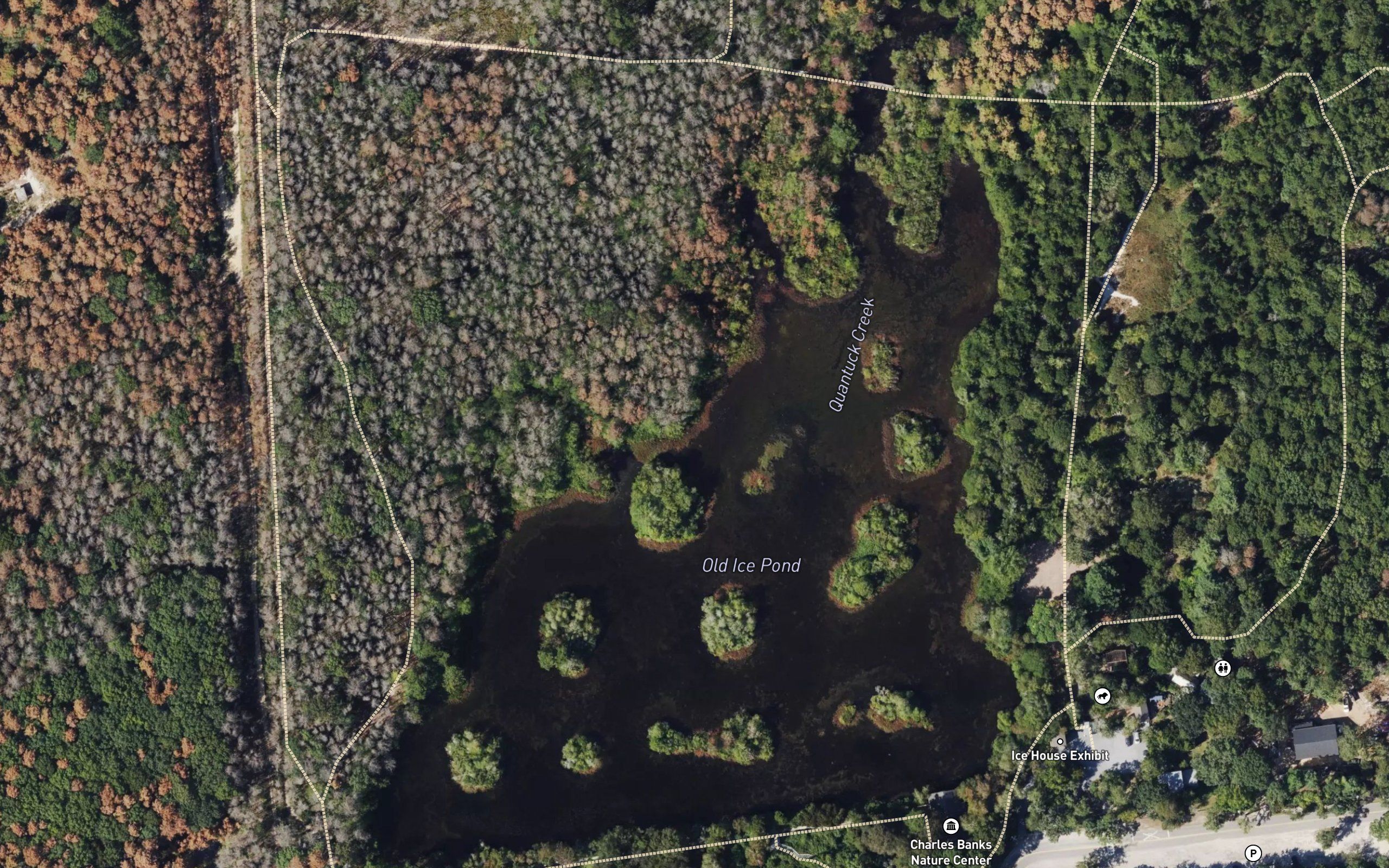 Old Ice Pond