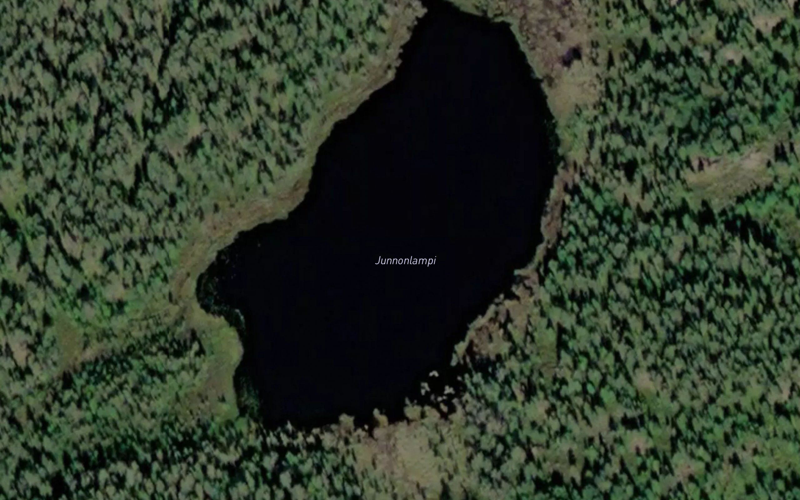 Junnonlampi
