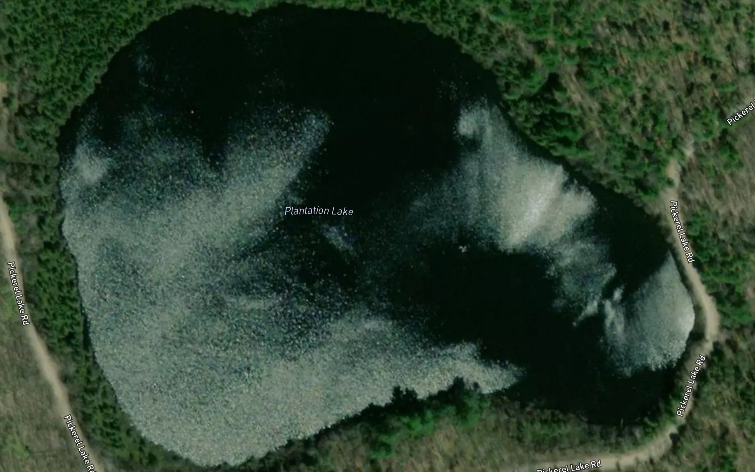 Plantation Lake