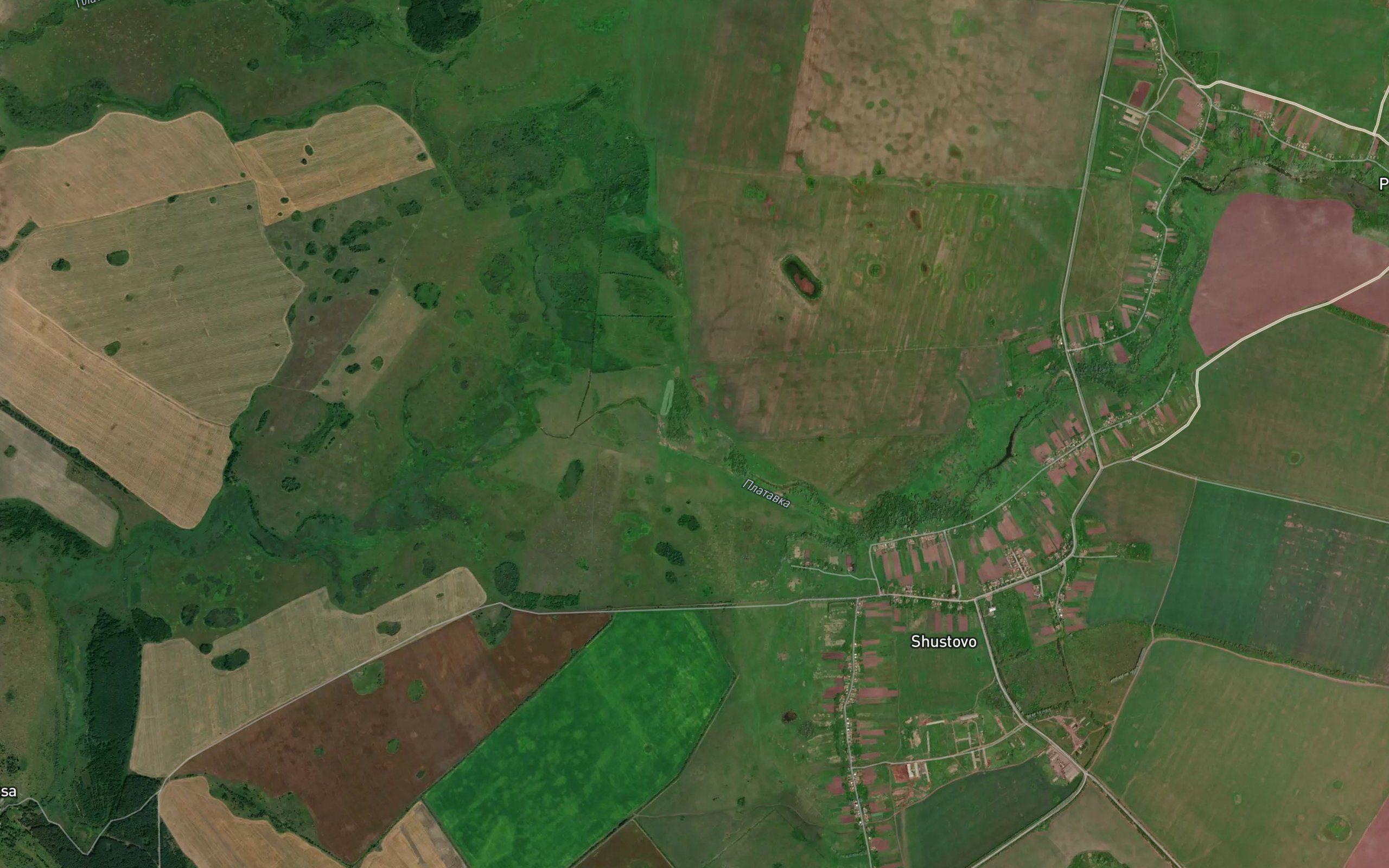 Platavka