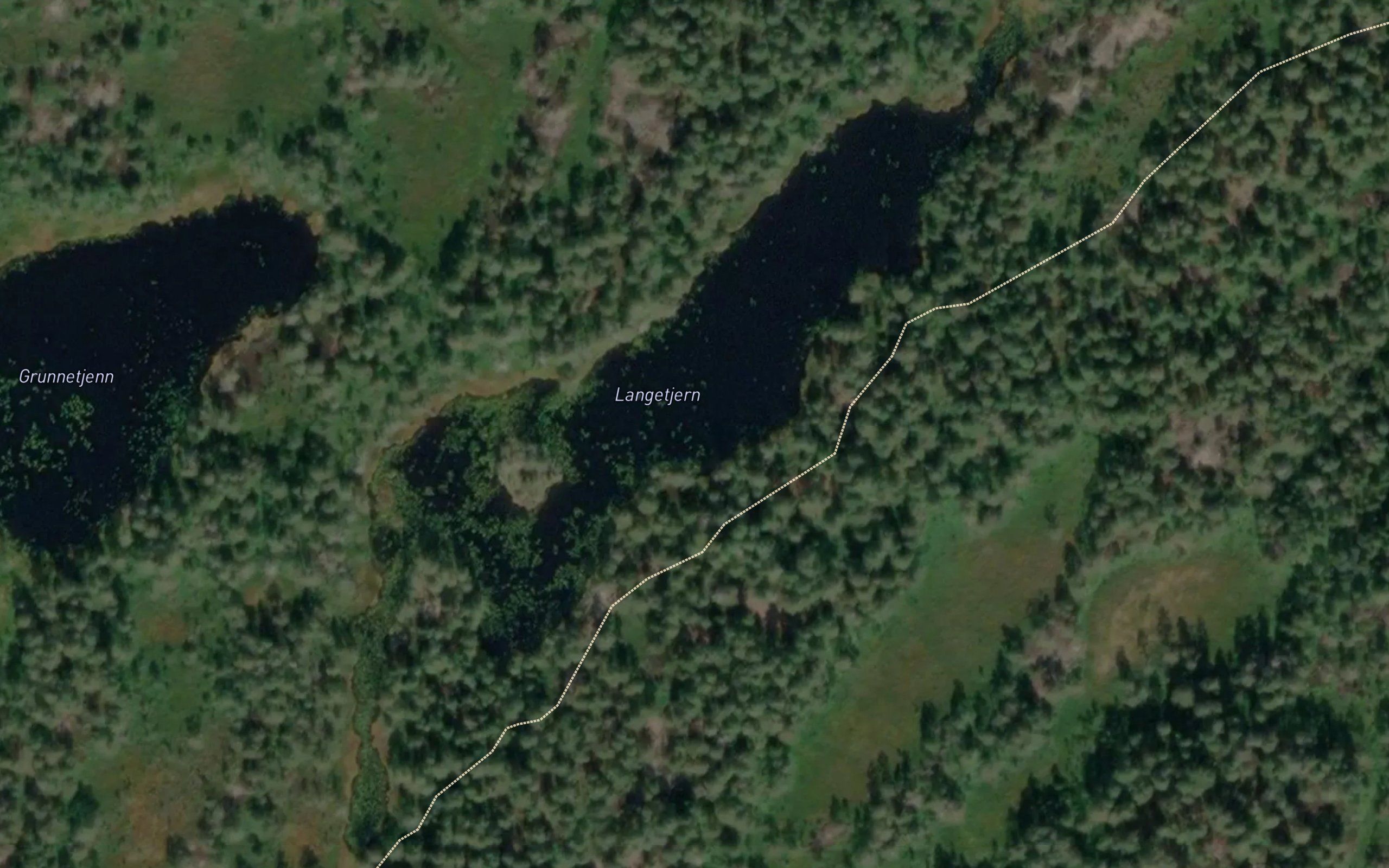 Langetjern