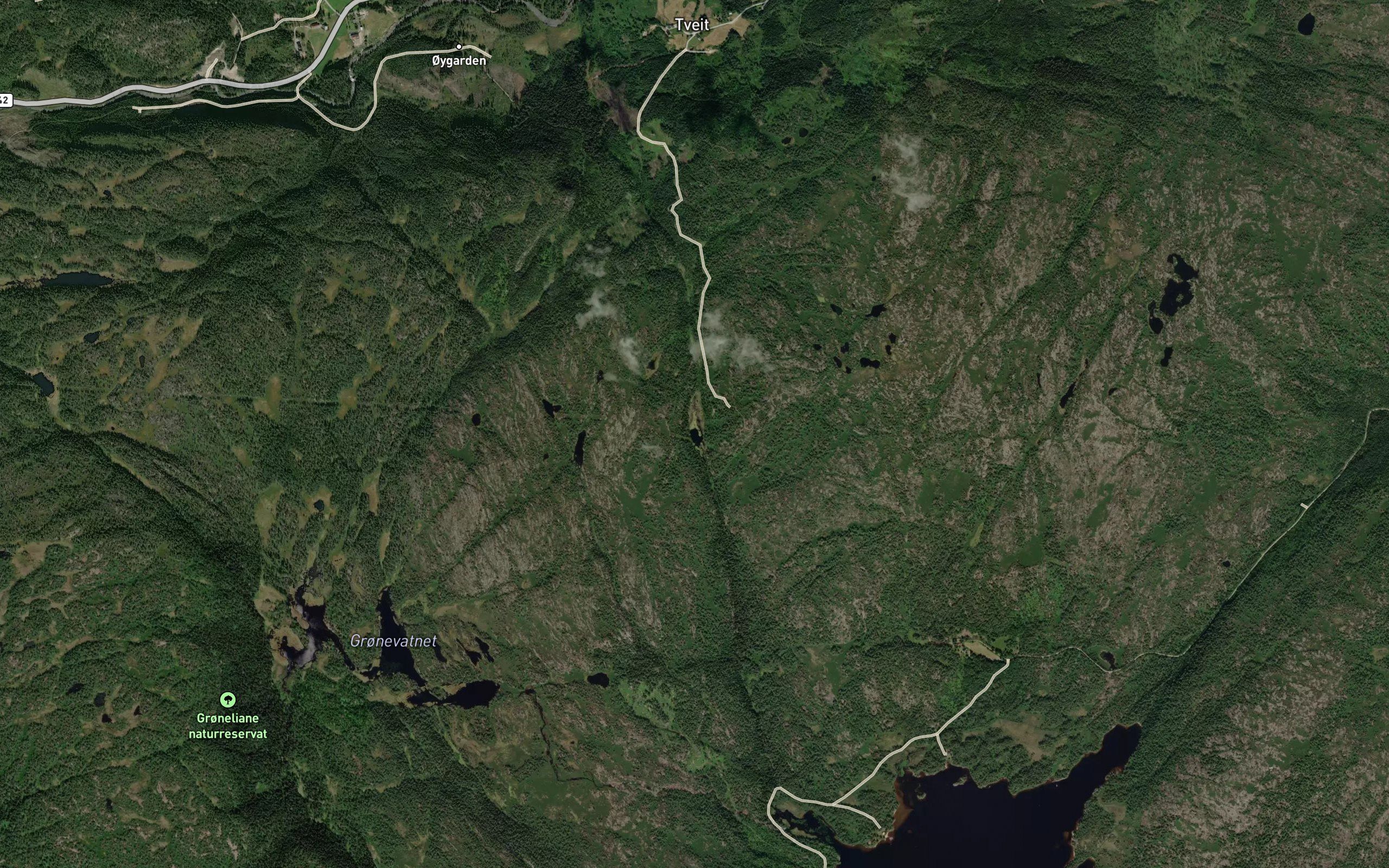 Hoydalstjorna
