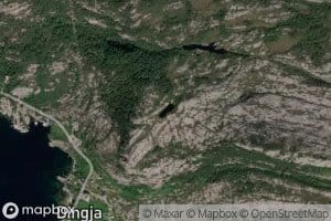 Kvitetjorna