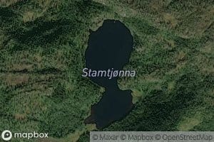 Stamtjorna