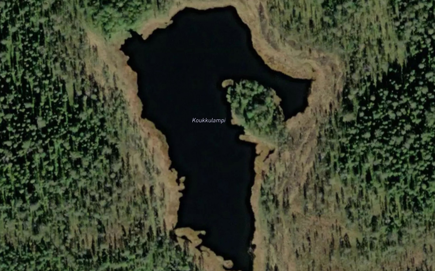 Satellite map of the Koukkulampi