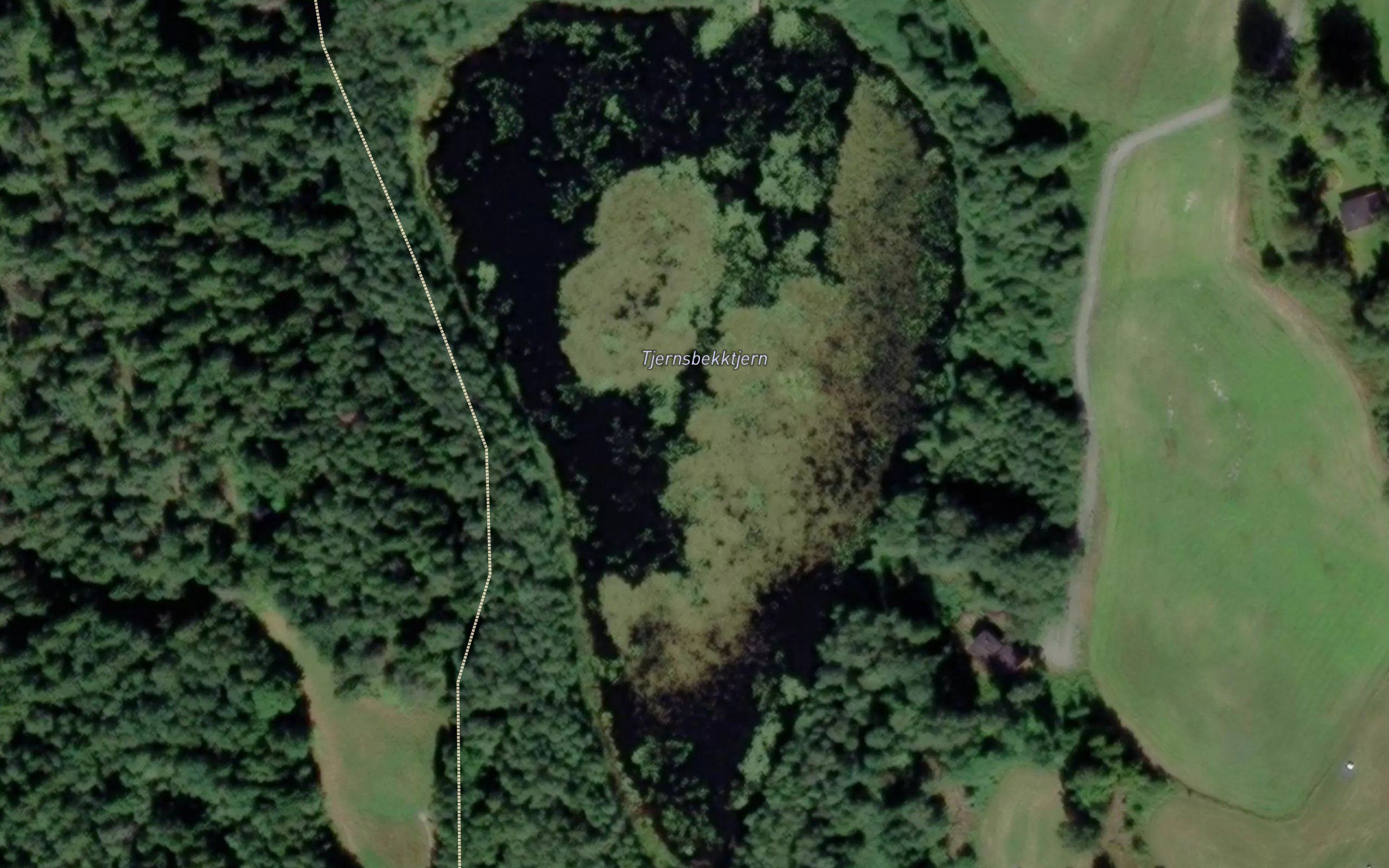 Tjernsbekktjernet