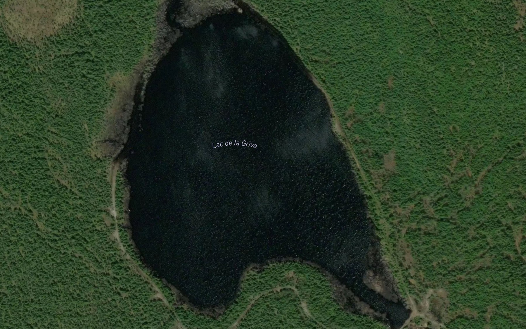 Satellite map of the Lac de la Grive