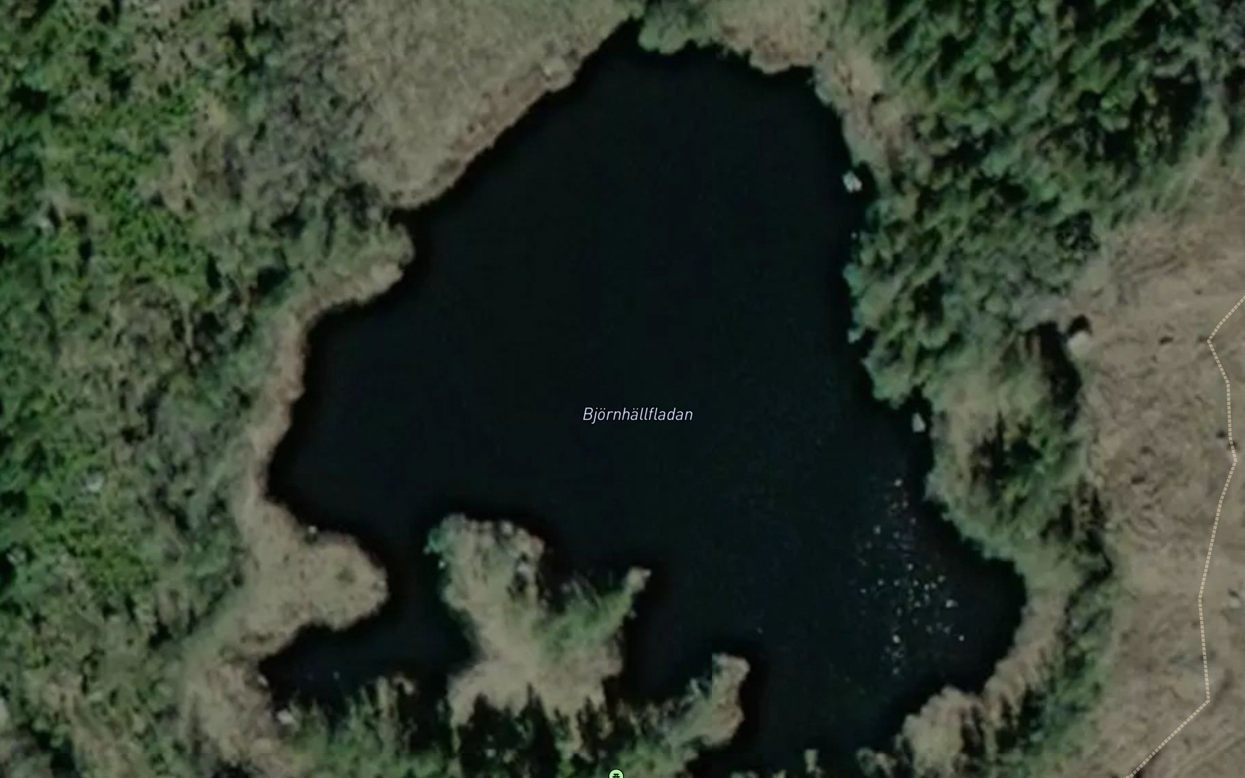 Bjornhallfladan