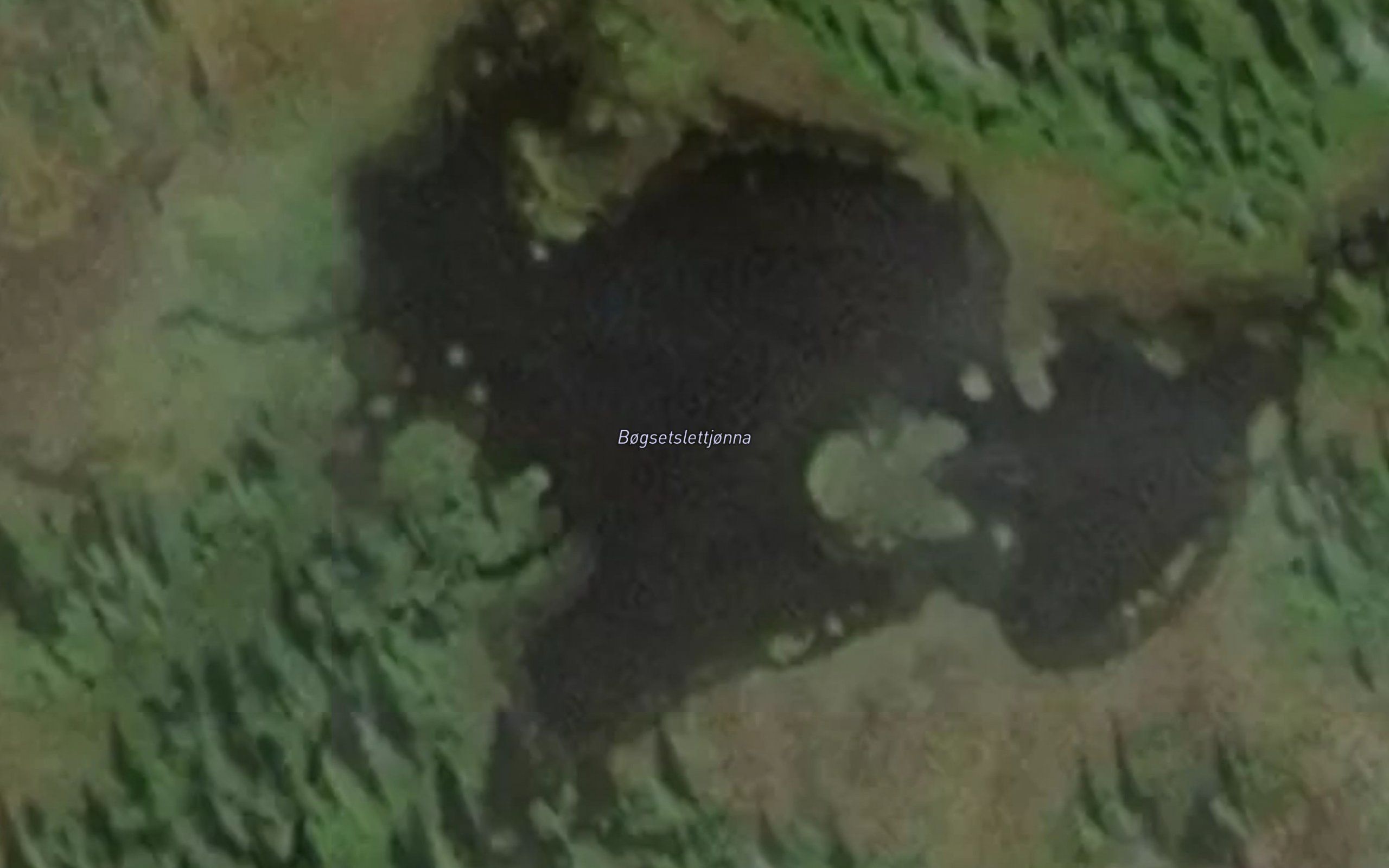 Bogsetslettjonna