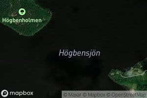 Hogbensjon