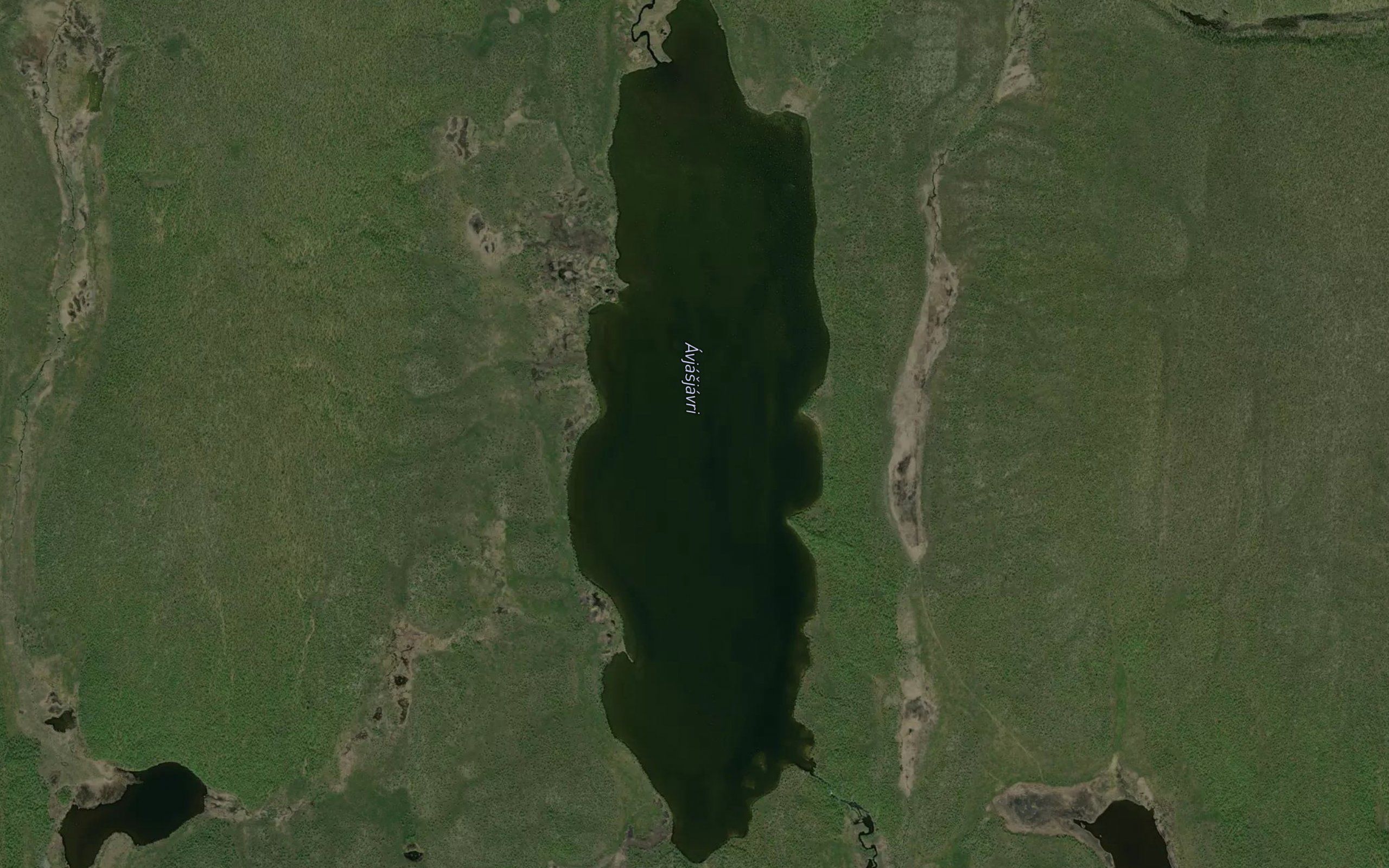 Avjasjavri