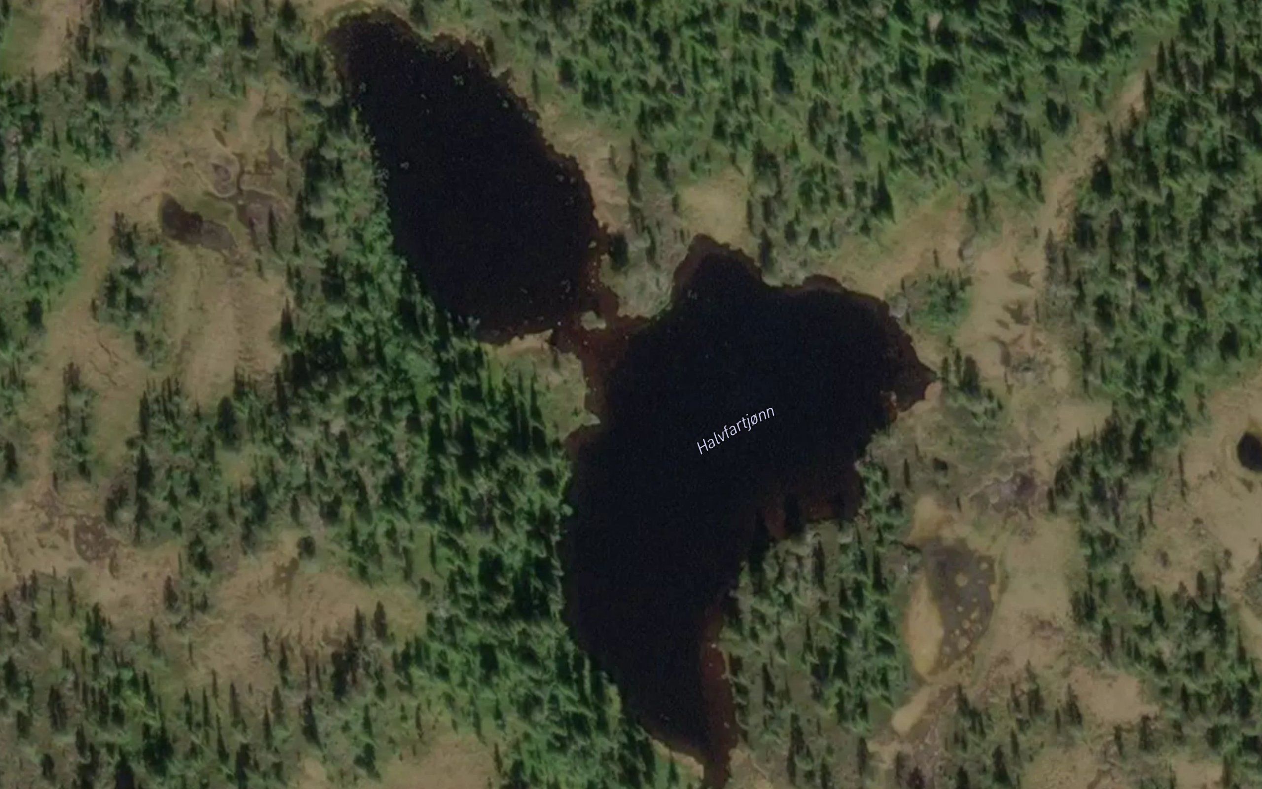 Halvfartjornan