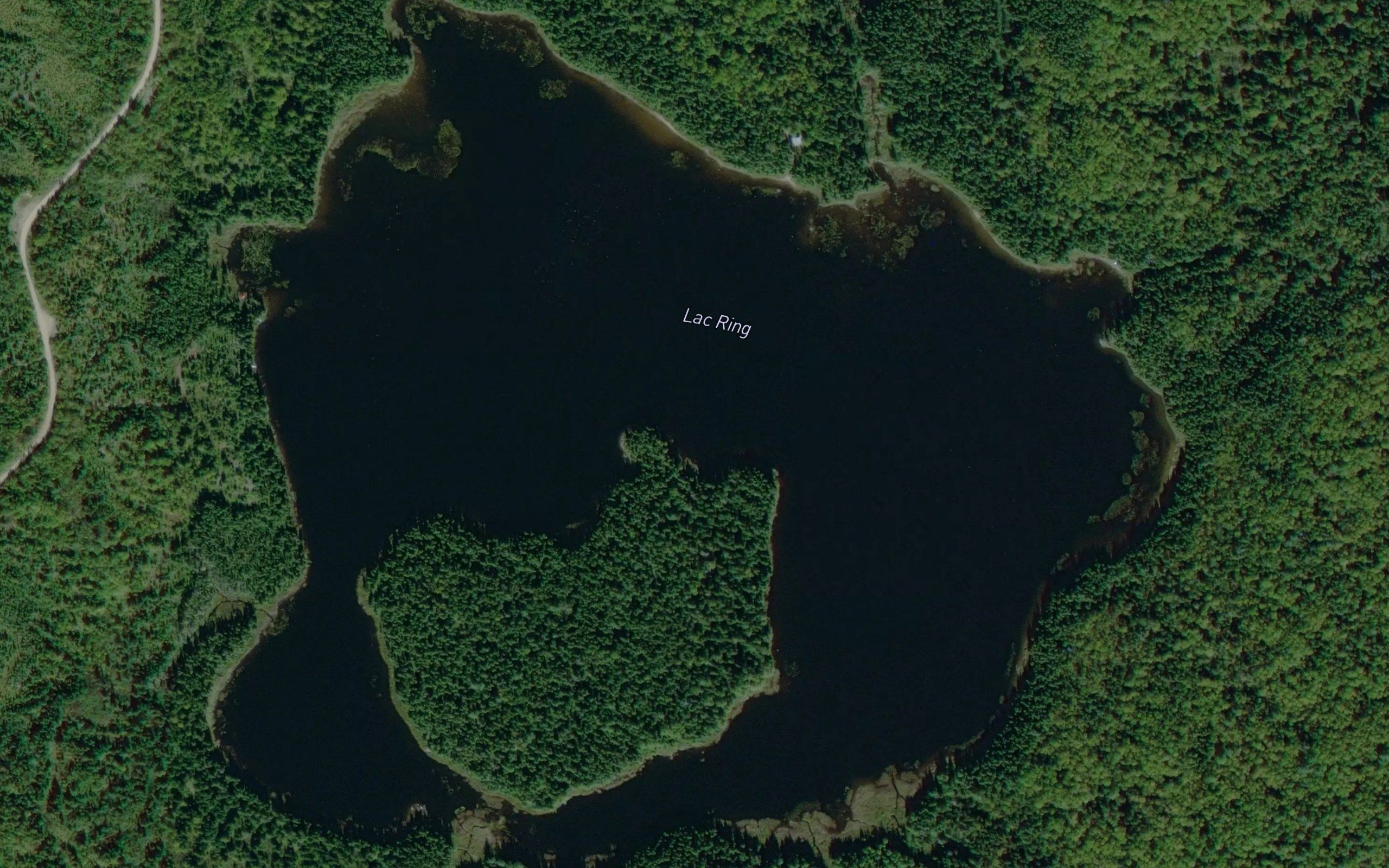 Lac Ring
