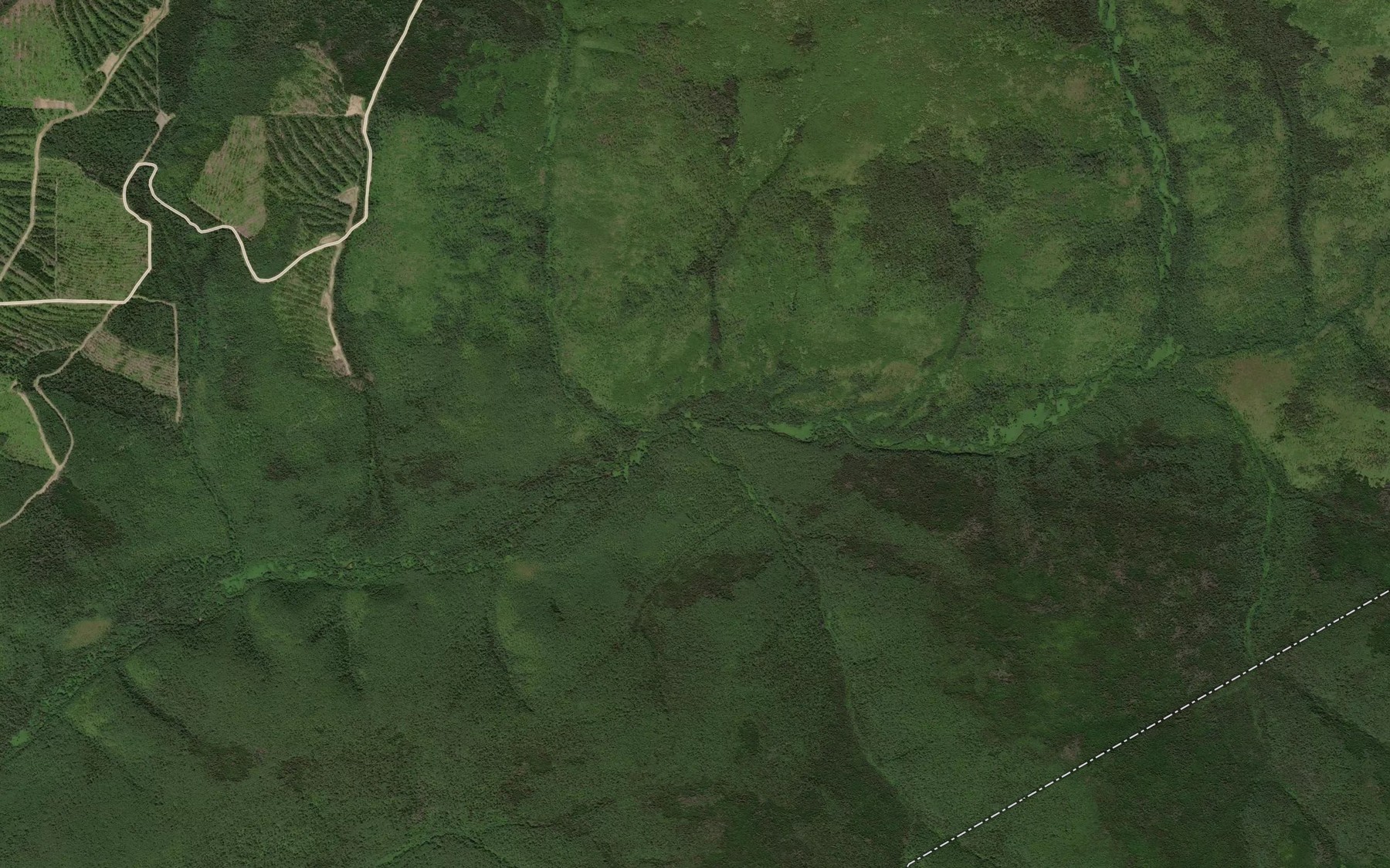 Satellite map of the Trudnyy
