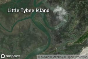 Little Tybee Creek