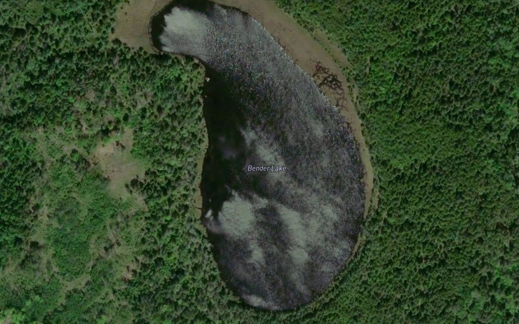 Satellite map of the Bender Lake