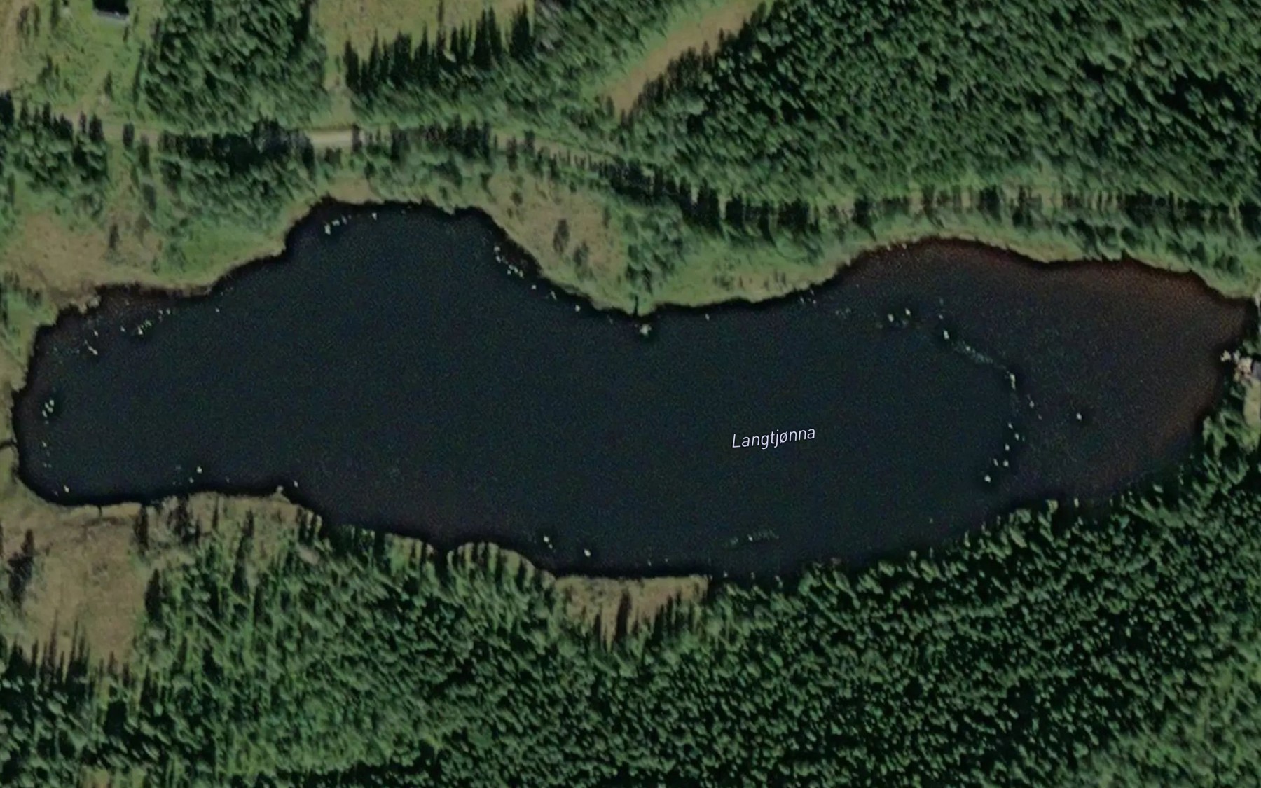 Satellite map of the Langtjorna