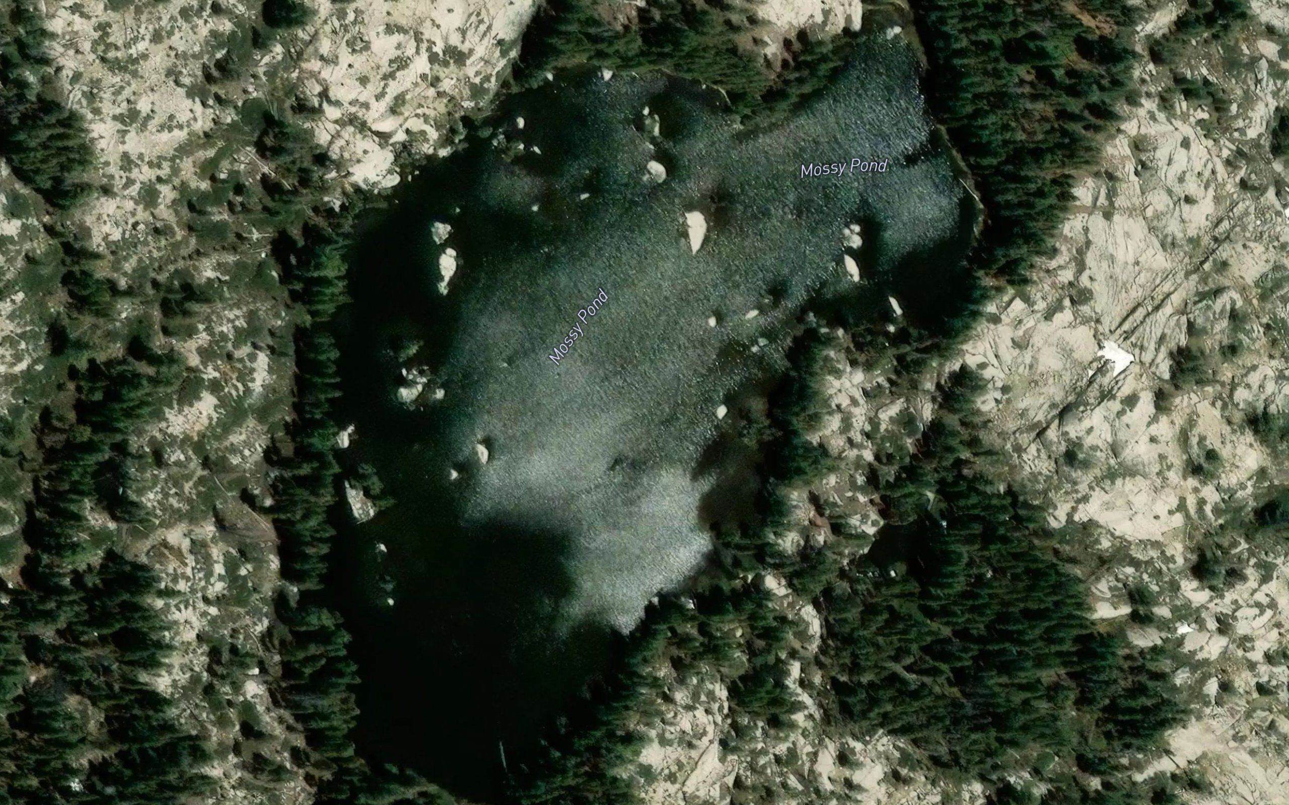 Mossy Pond