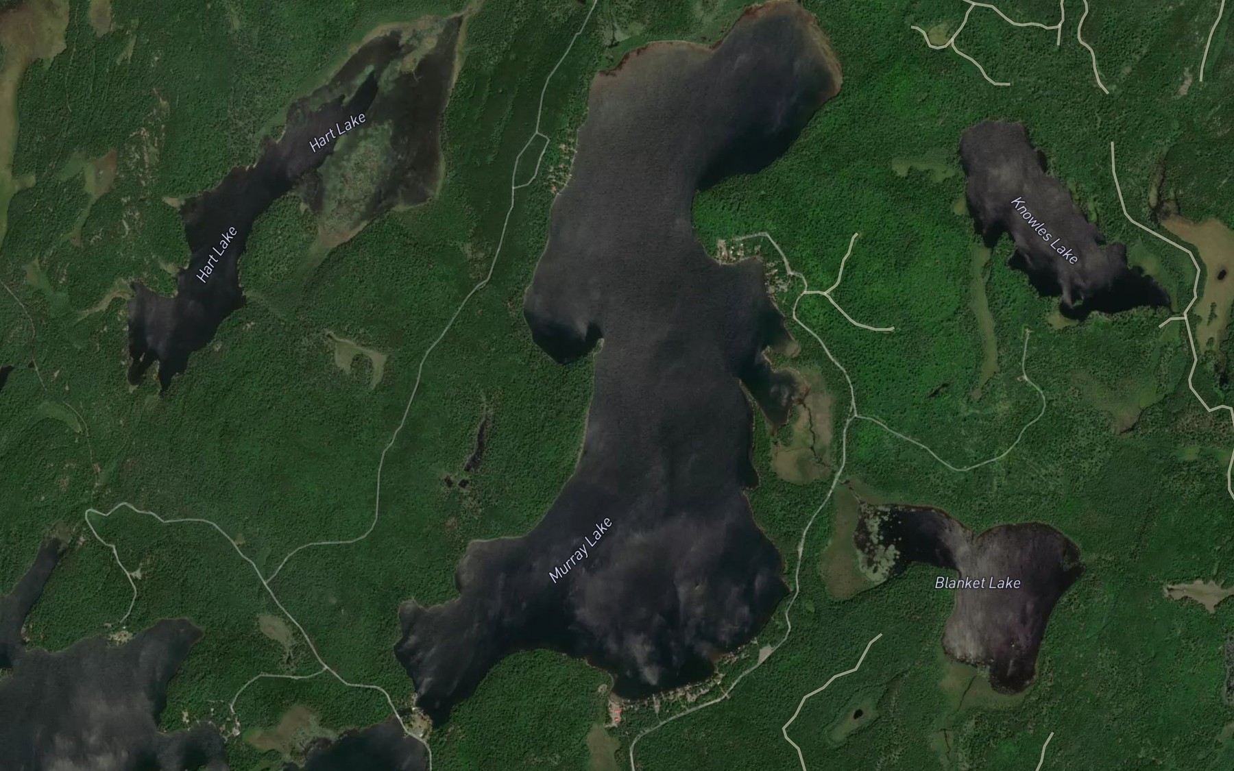 Satellite map of the Murray Lake