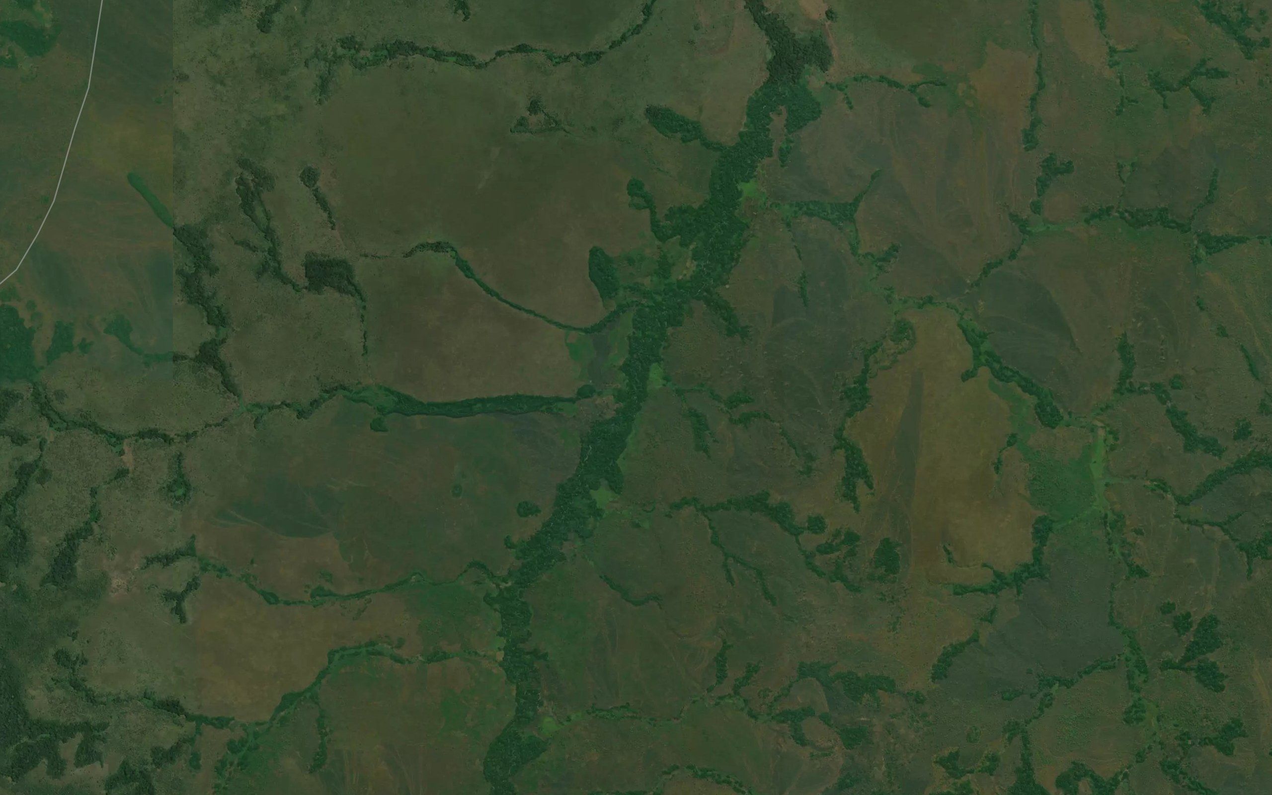 Kangove