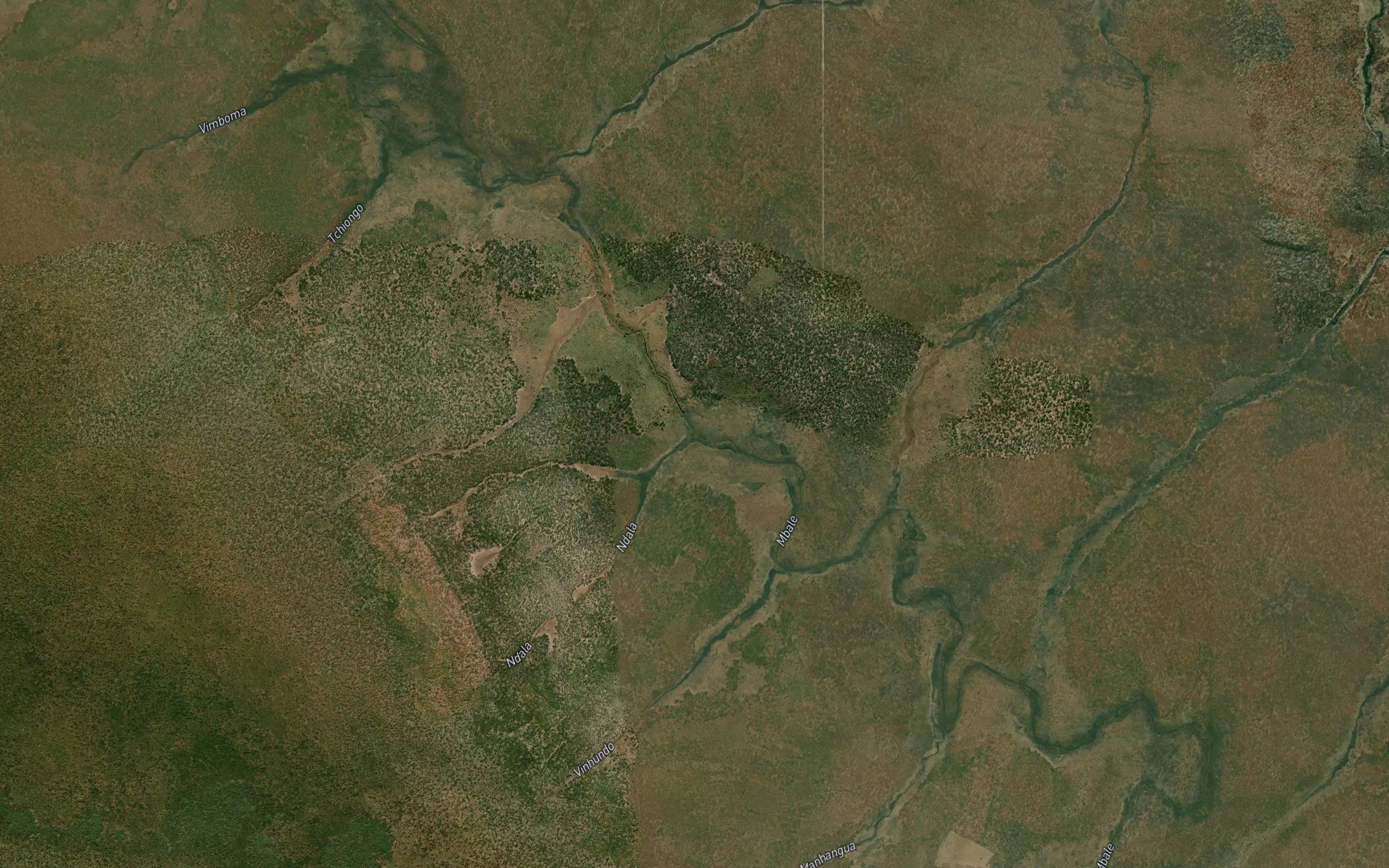 Vivuluvulo