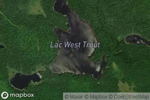 Lac West Trout