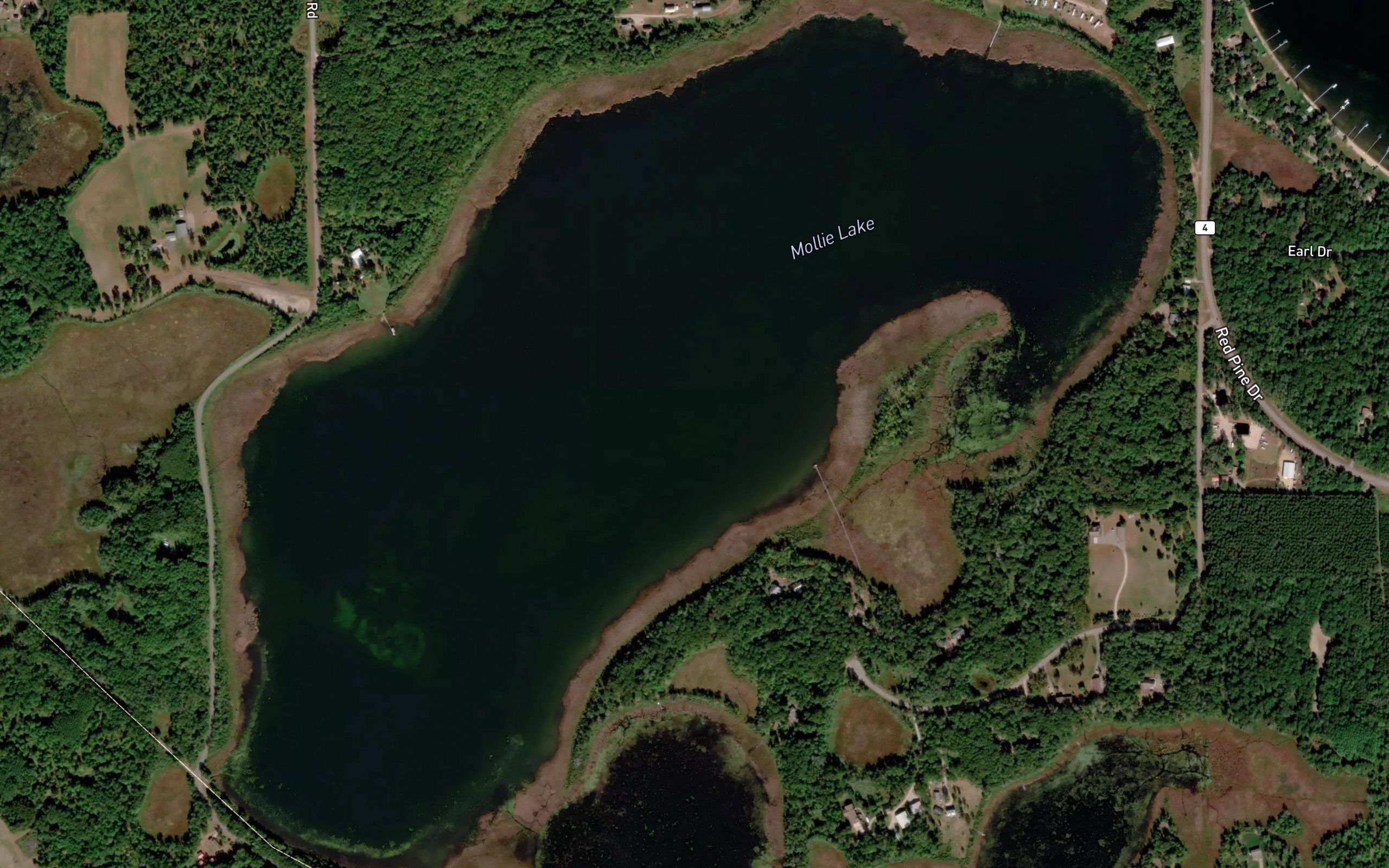 Mollie Lake