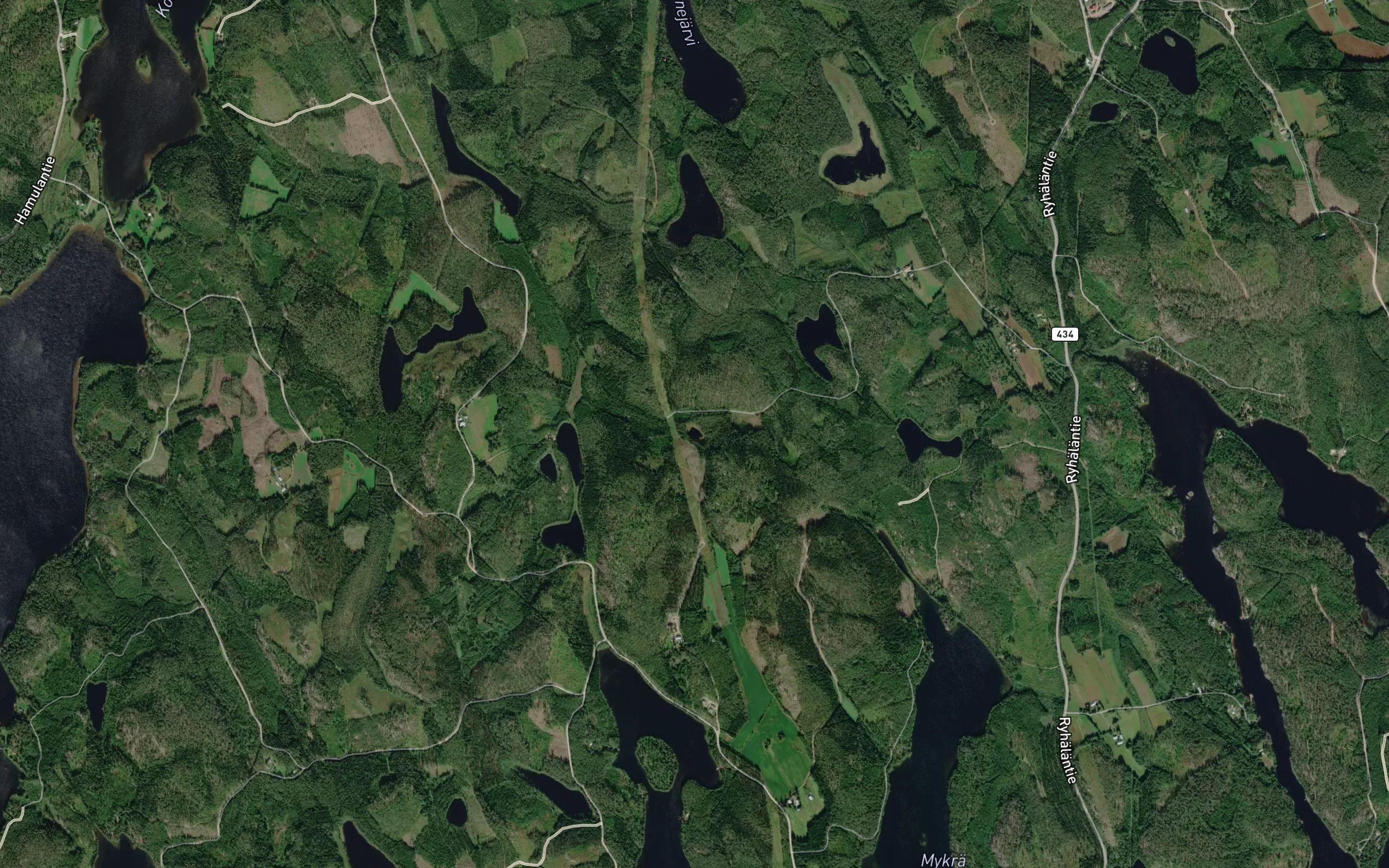 Kurkilampi