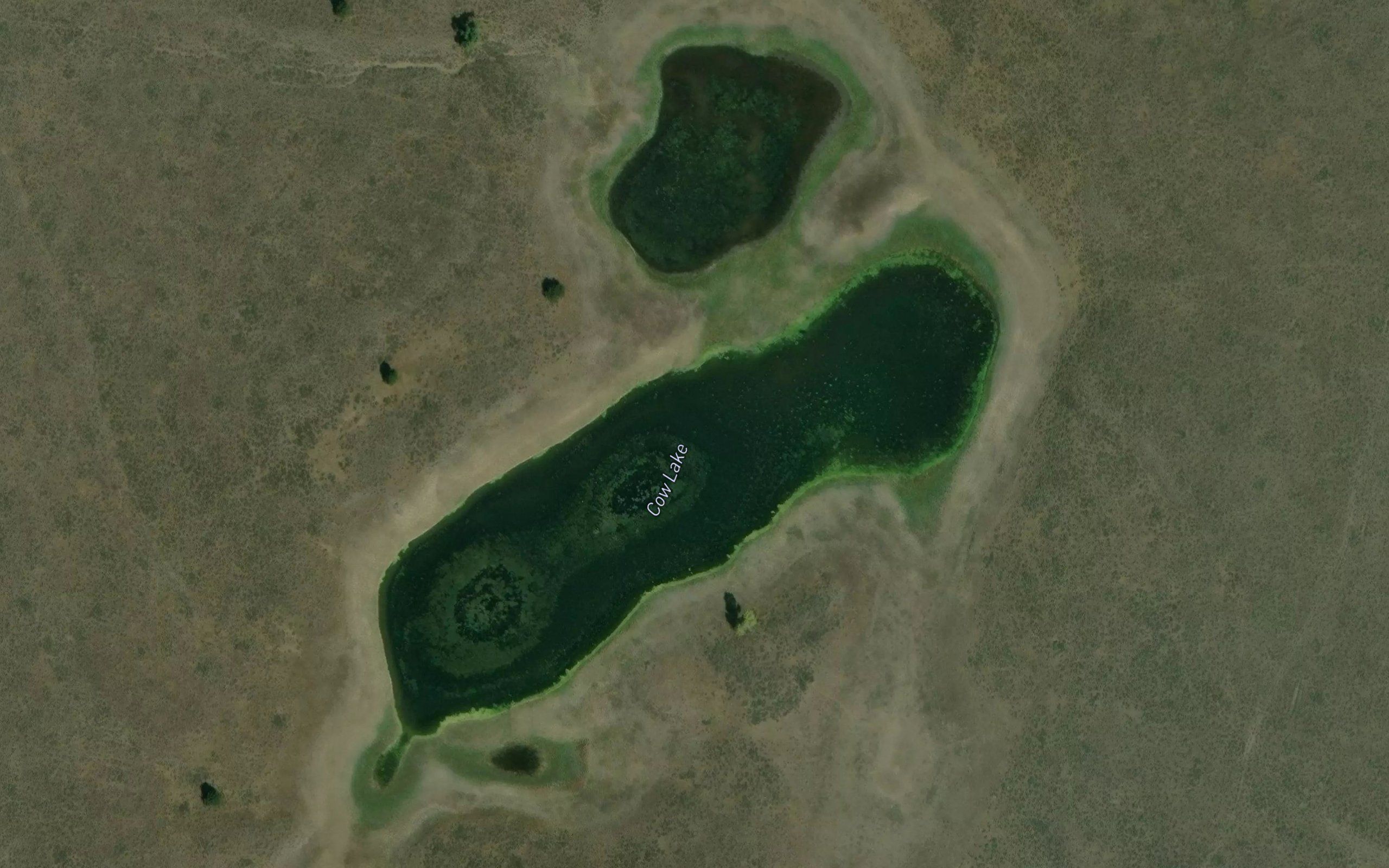 Cow Lake