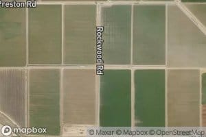 Wistaria Lateral Five