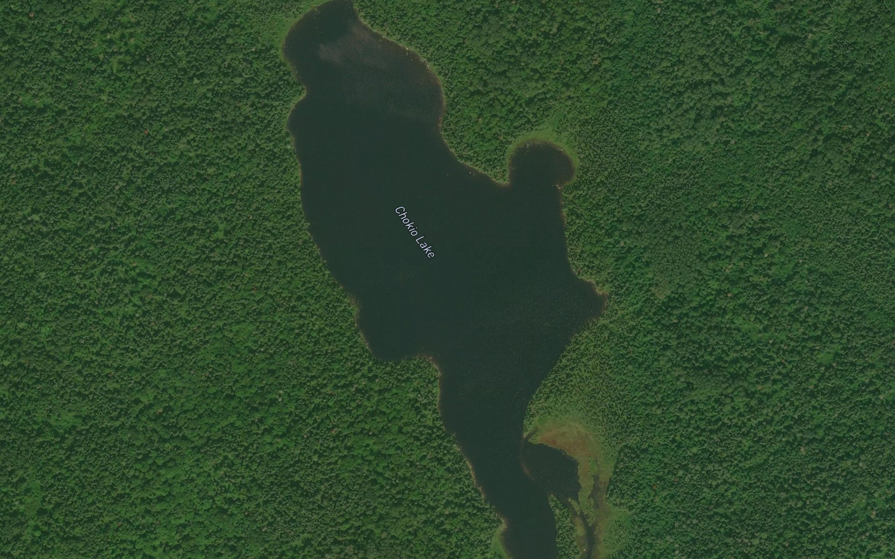 Satellite map of the Chokio Lake