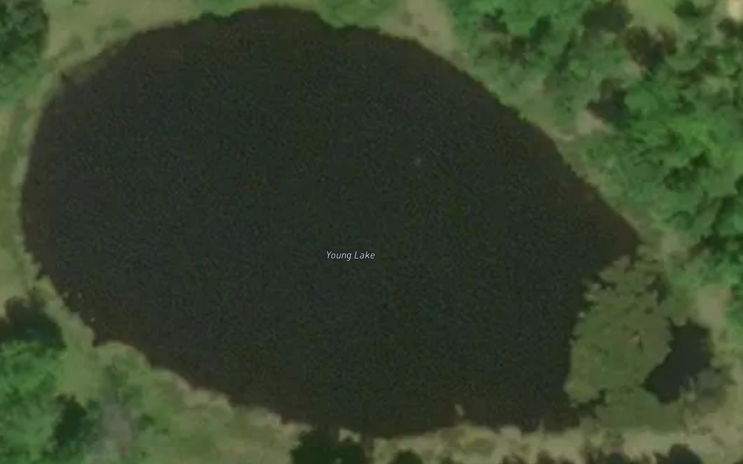 Young Lake