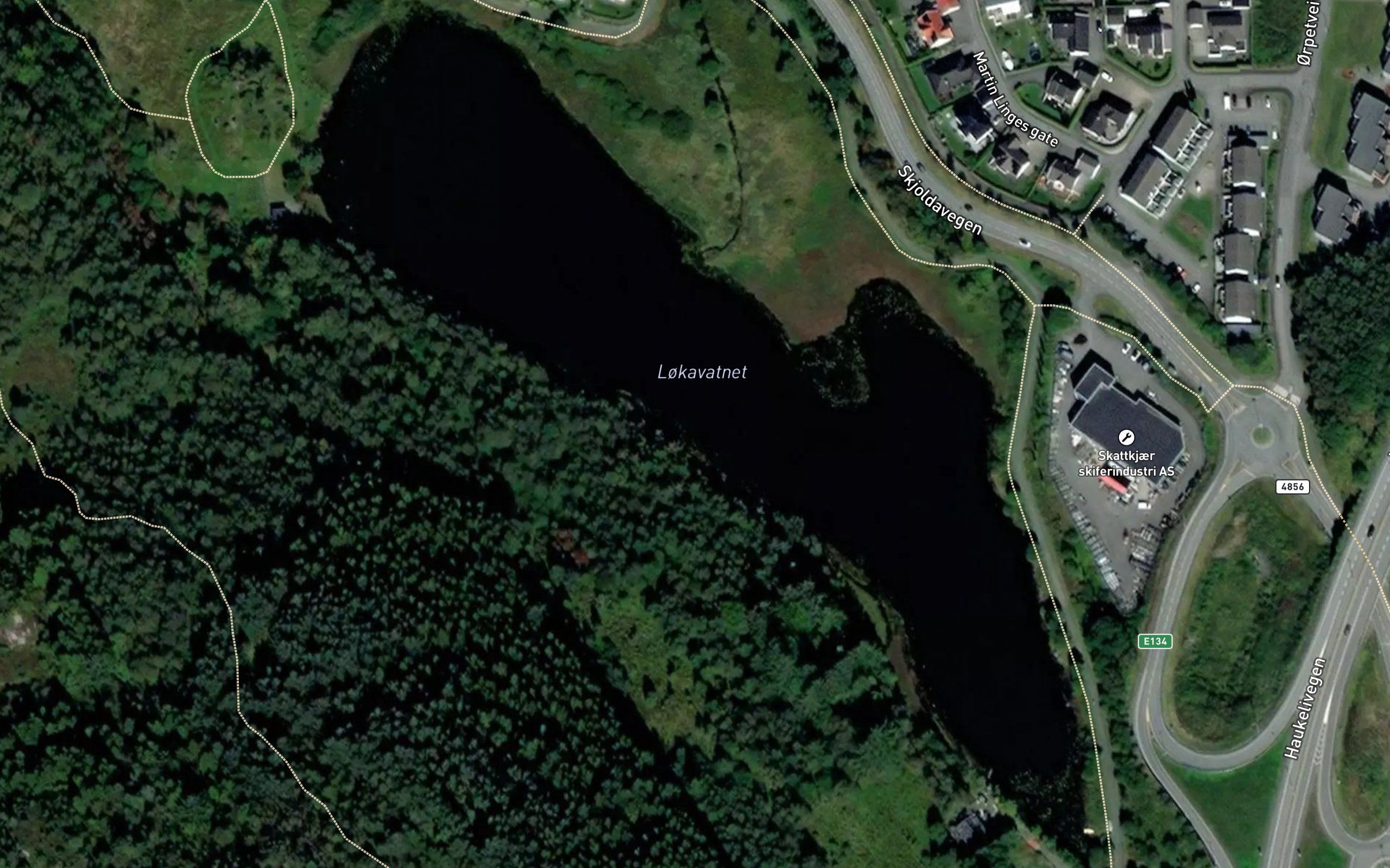 Lokavatnet