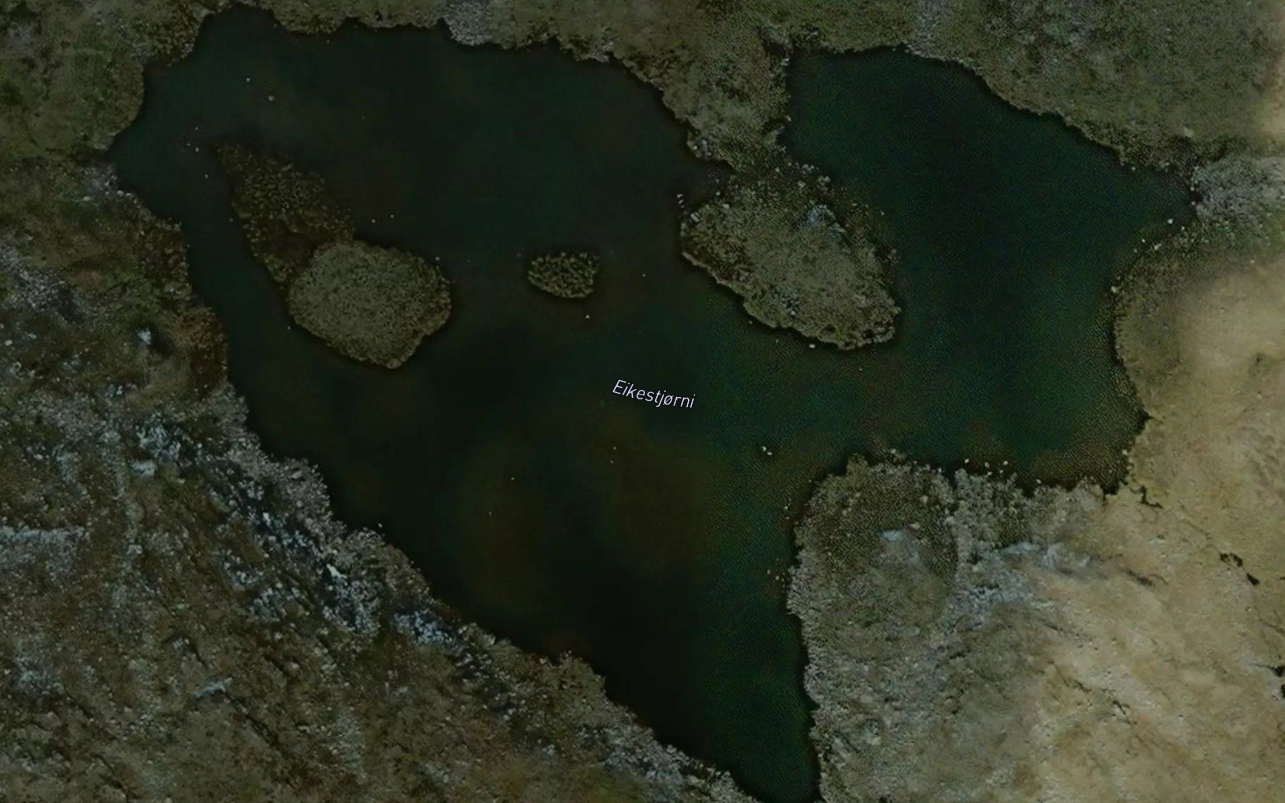 Eikistjorni