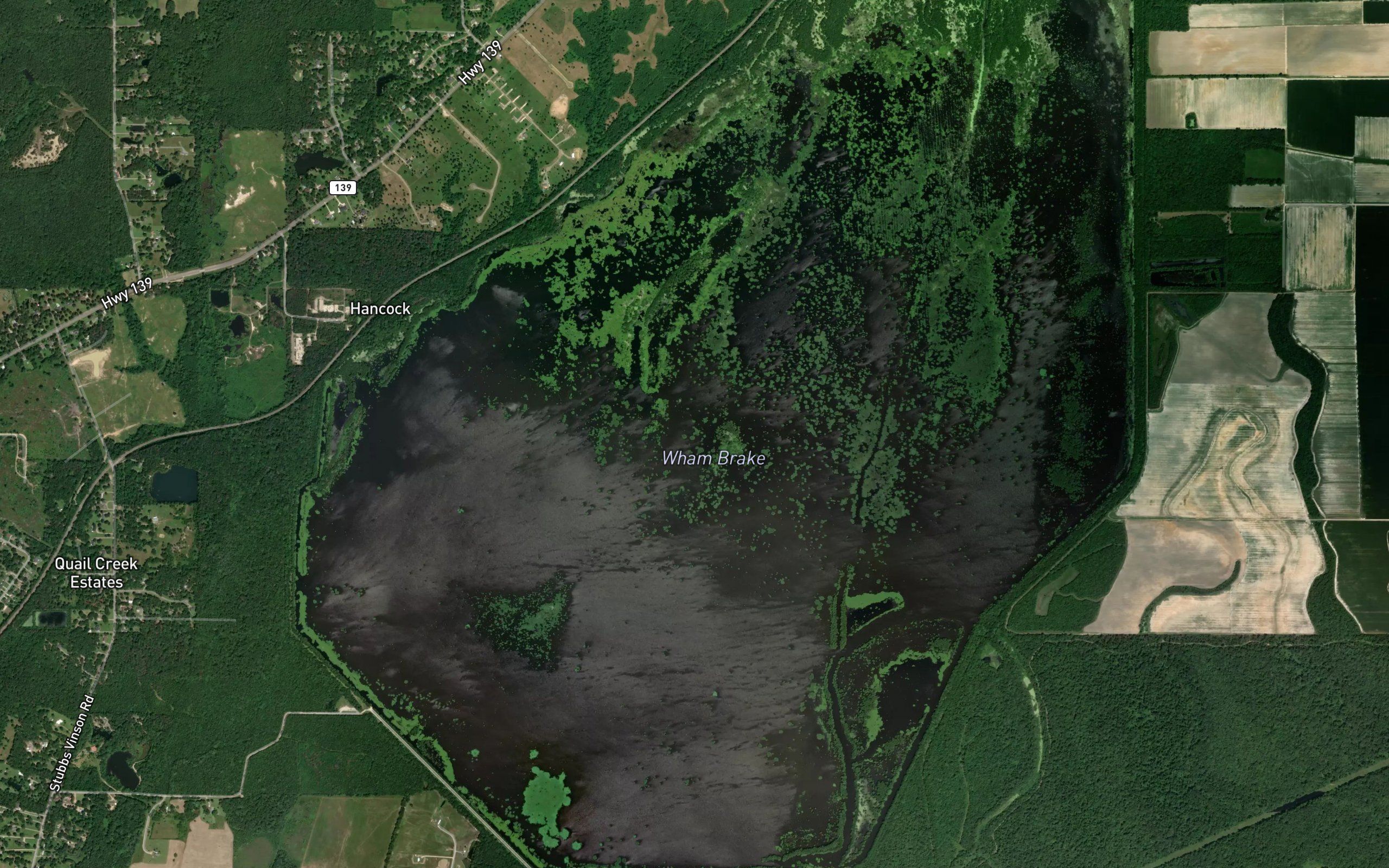 Puckett Slough