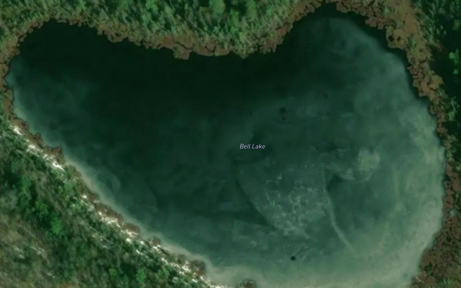 Satellite map of the Bell Lake