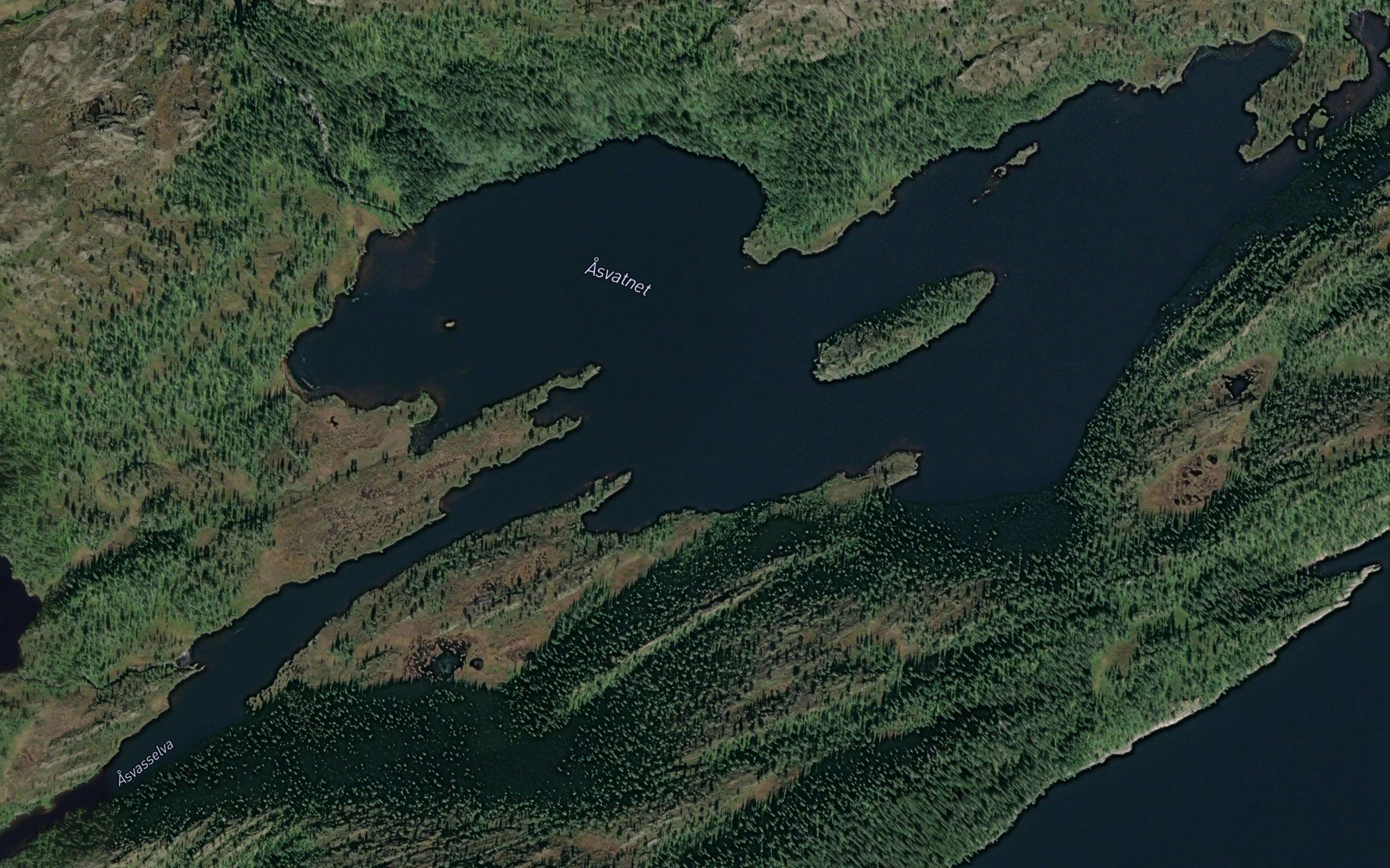 Asvatnet