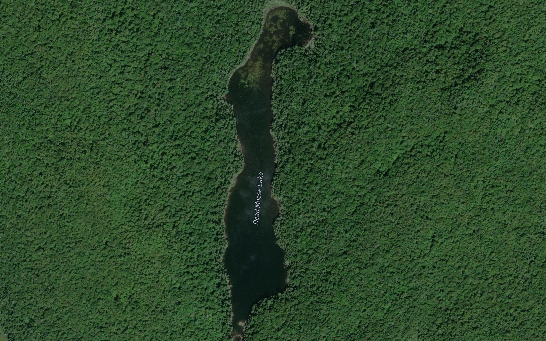 Satellite map of the Dead Moose Lake