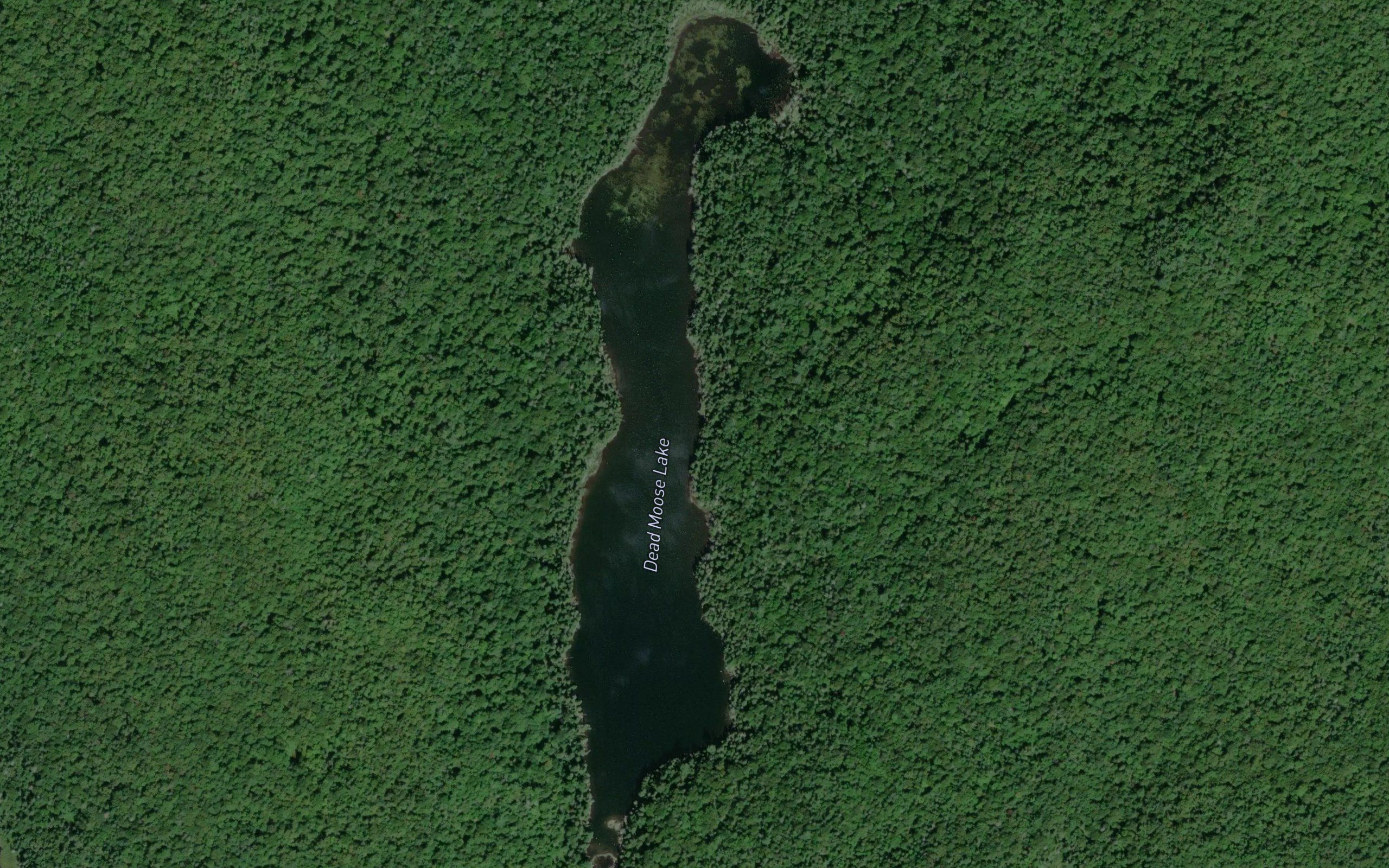 Dead Moose Lake