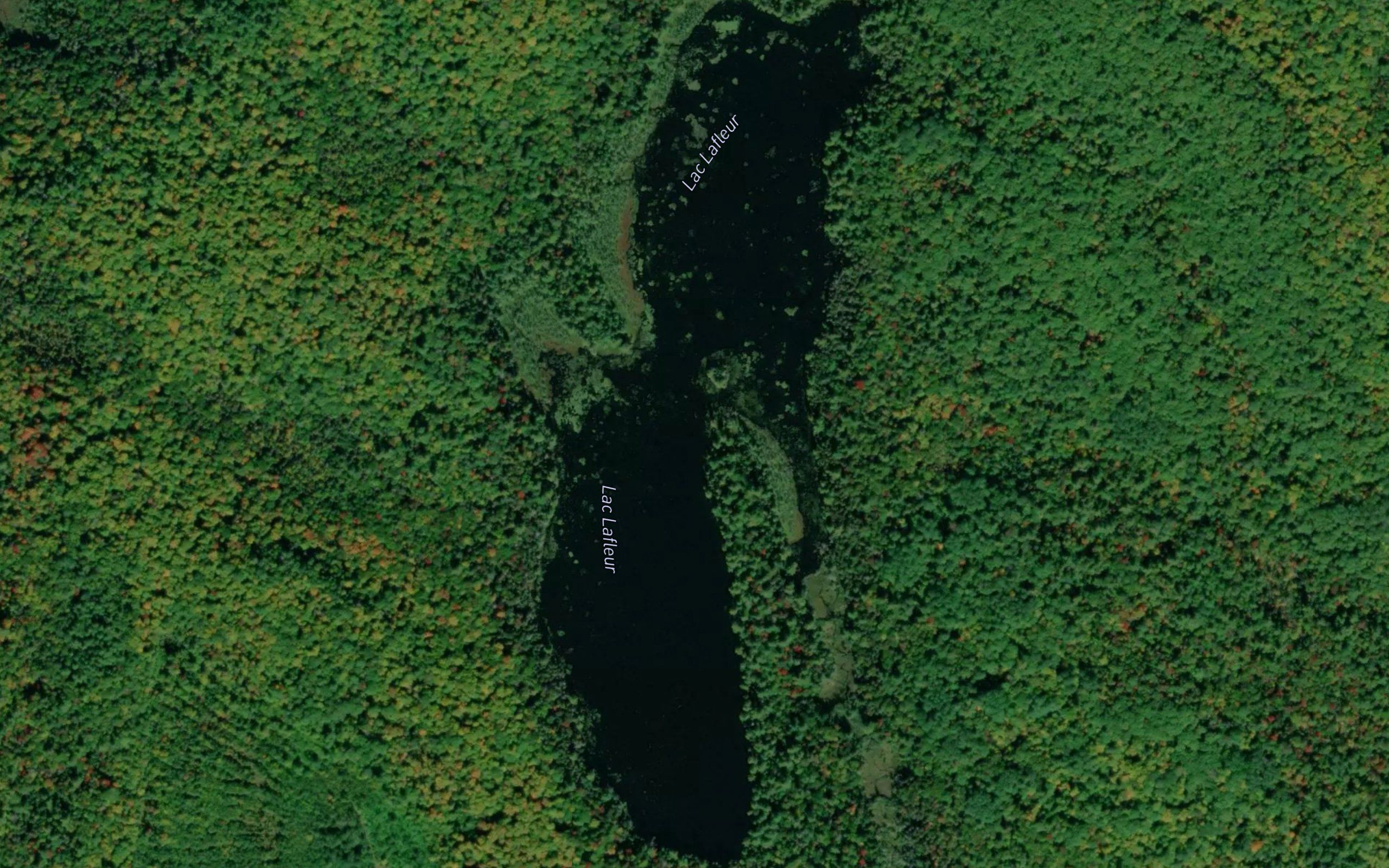 Lac Lafleur