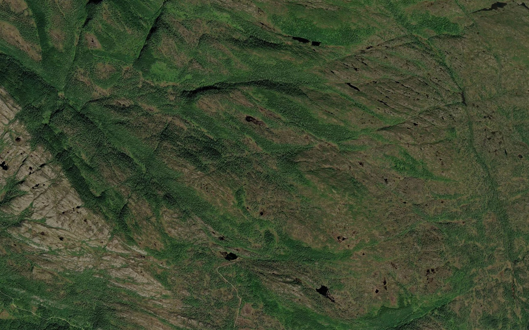 Satellite map of the Trekorsbekken