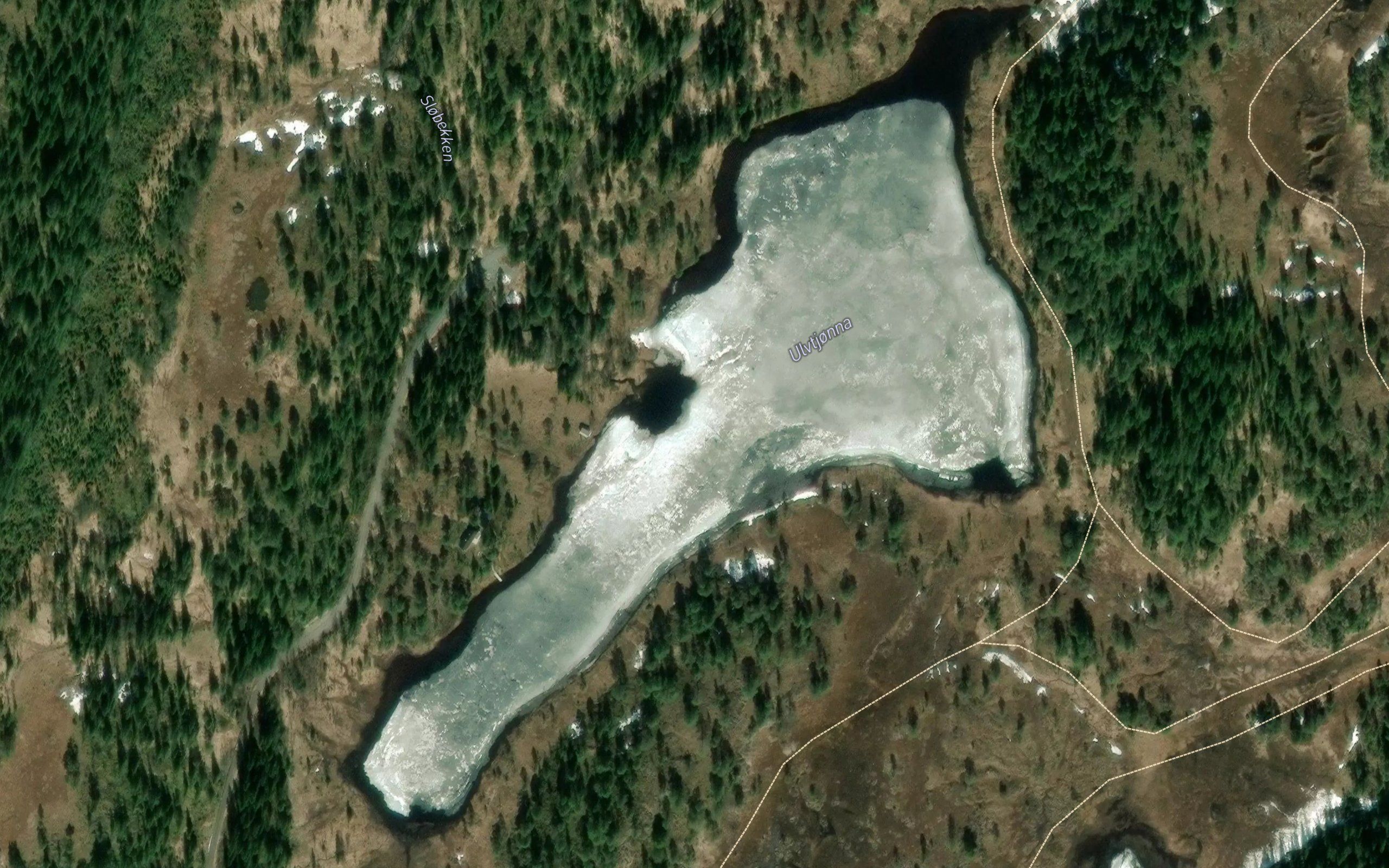 Ulvtjorna
