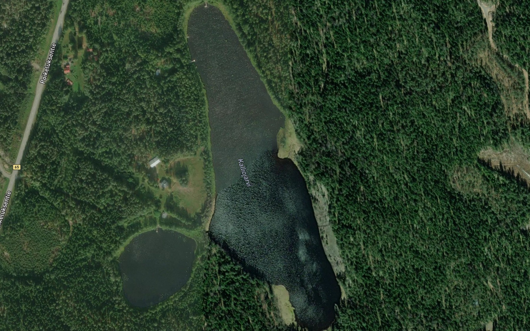 Satellite map of the Kalliojarvi
