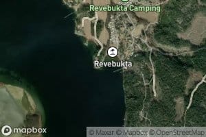 Revebukta