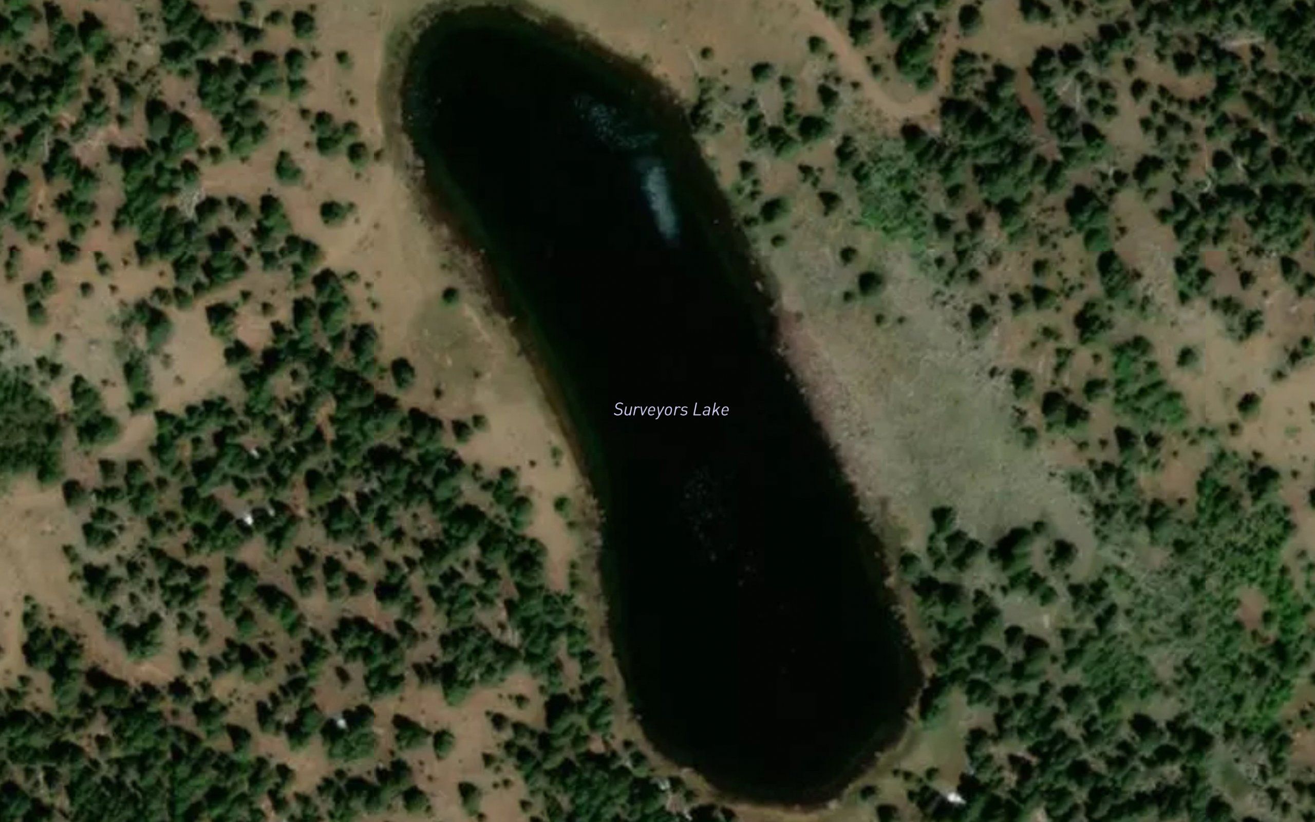 Surveyors Lake