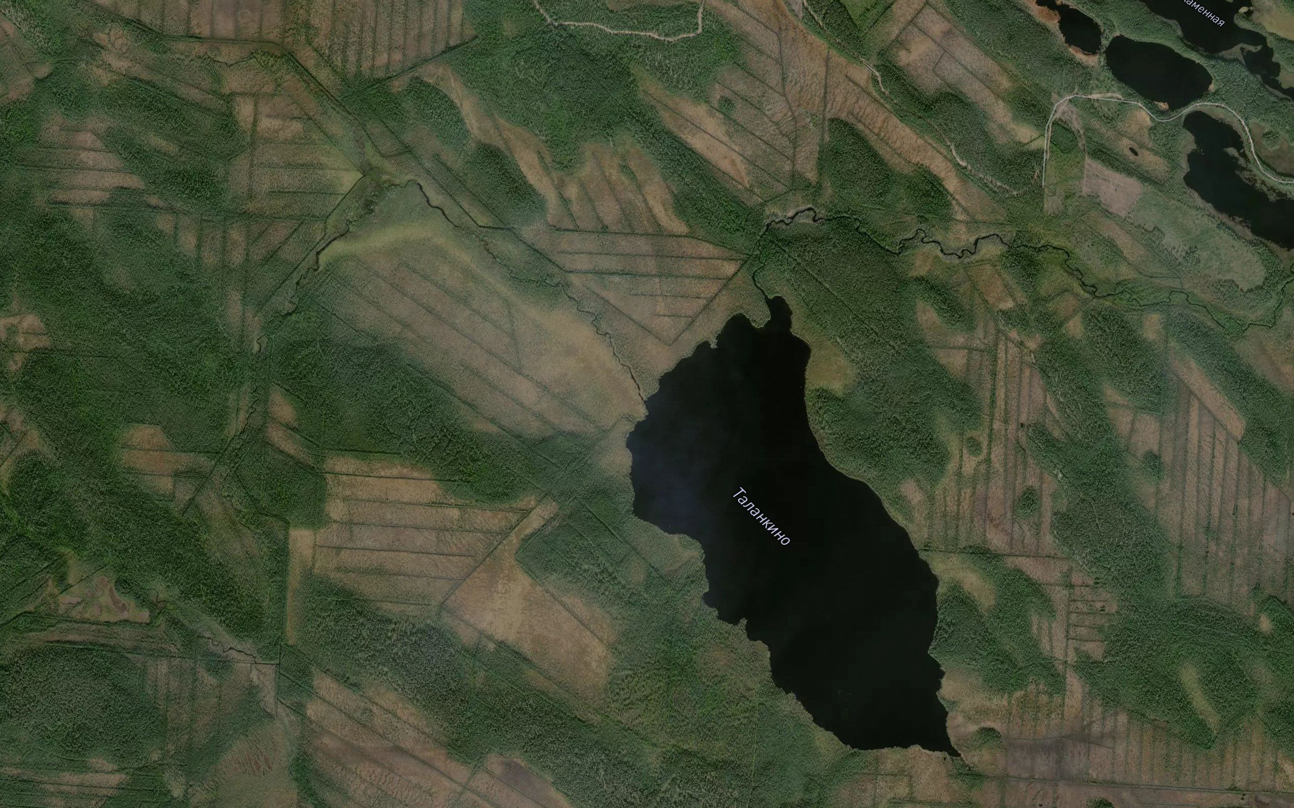 Pavda