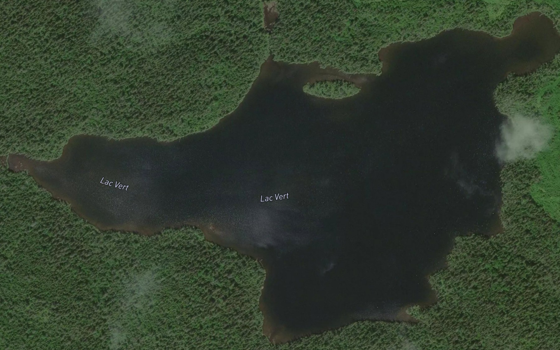 Satellite map of the Lac Vert